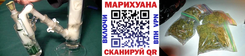 Канабис сатива  ссылка на мегу рабочий сайт  Тверь  где продают  